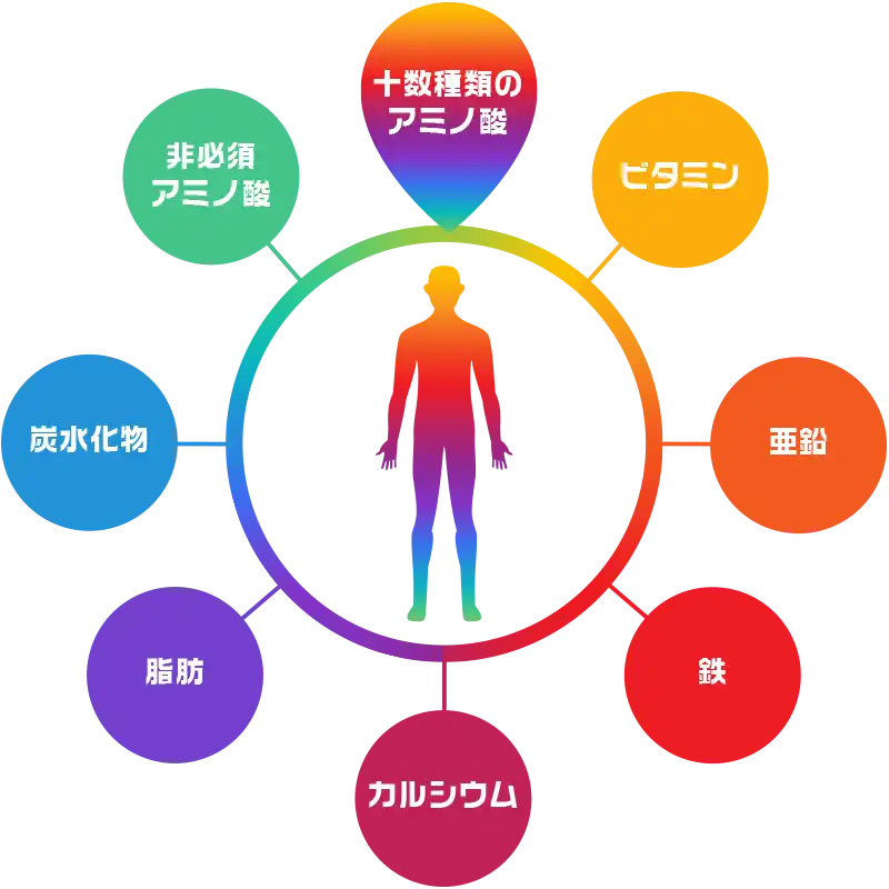 数々の微量栄養素